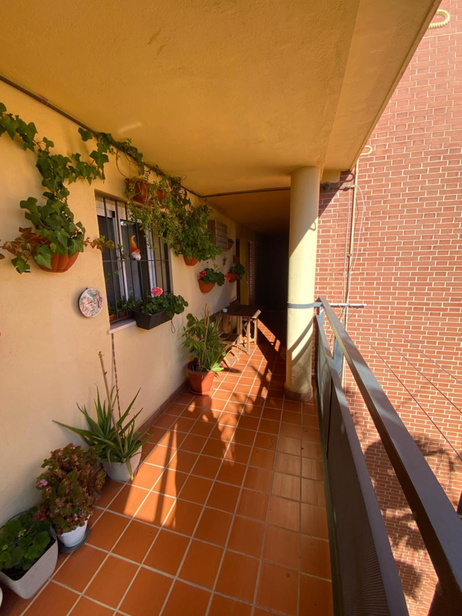Apartamento Arroyo De La Miel Costa Del Sol Leilighet Benalmádena Eksteriør bilde